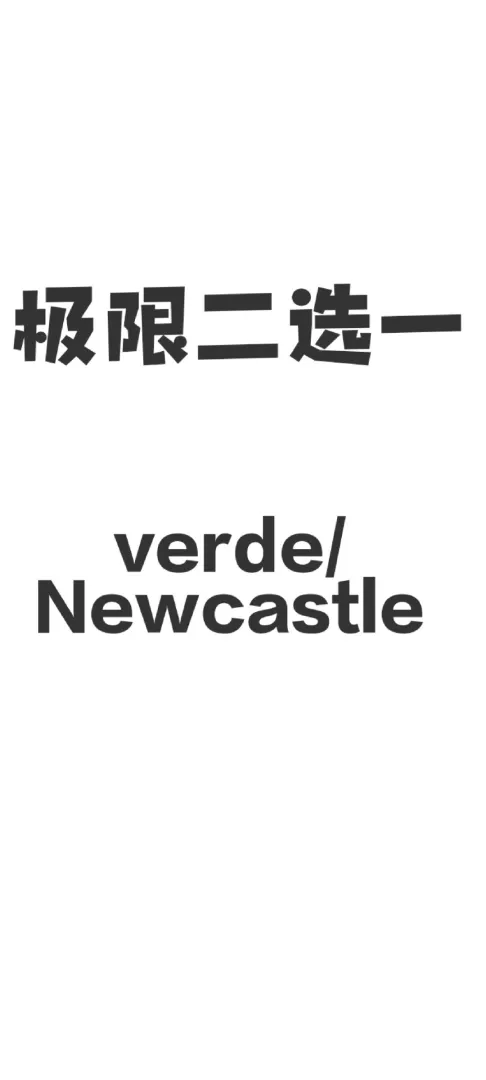 纽卡租房极限二选一❗️❗️❗️