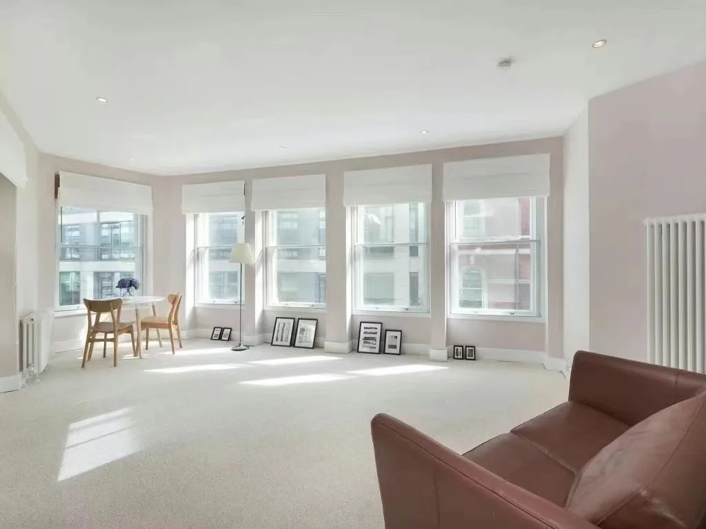 A huge one-bedroom apartment in London! 🇬🇧