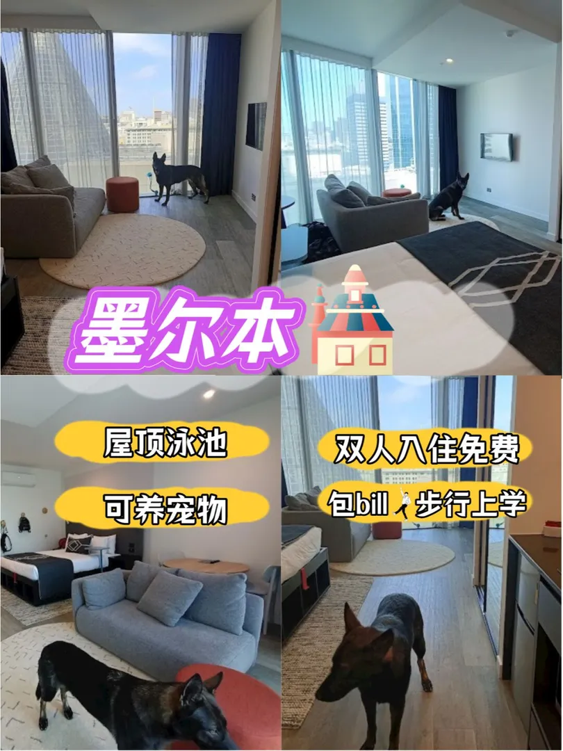墨爾本👀可以養🐶寵物啦的公寓？