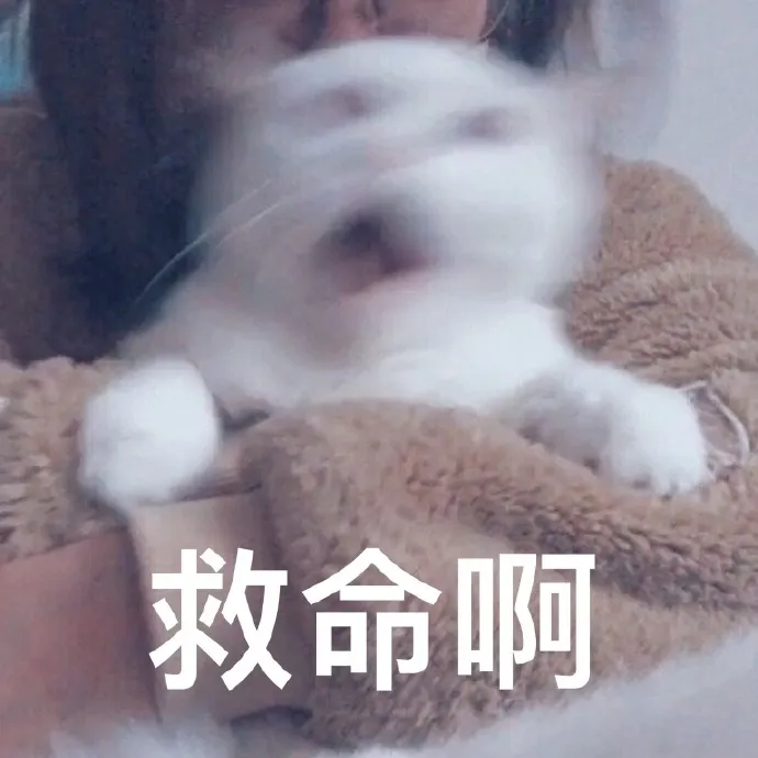 雪梨家人們，吐槽下你們遇到的奇葩室友🆘