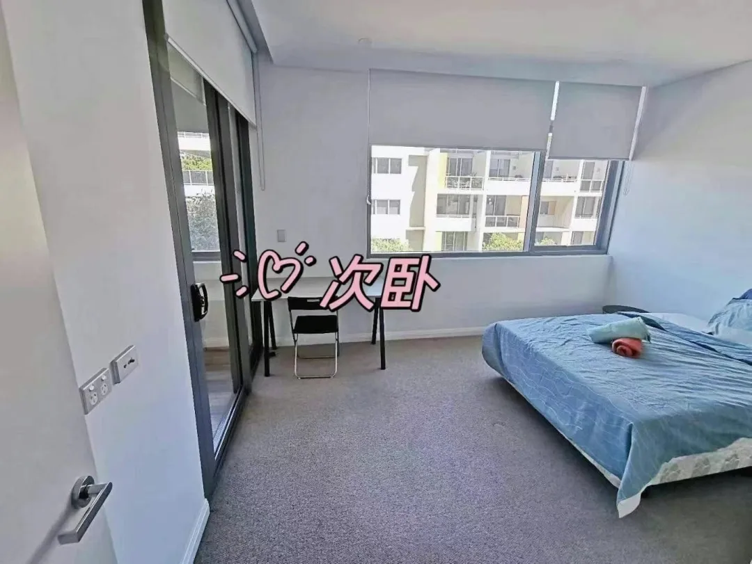雪梨24s1 真的沒人租房嘛？？