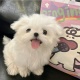 我真的會反覆愛上我在格拉的這個studio