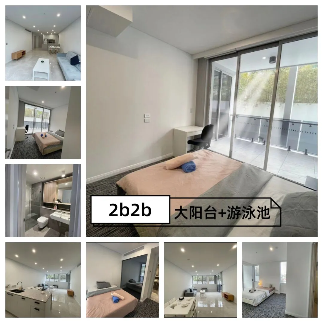 ⭐雪梨租房|24S1還有社會公寓可選哦