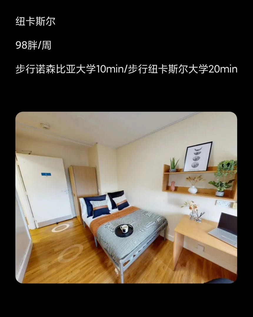 紐卡的寶子dd