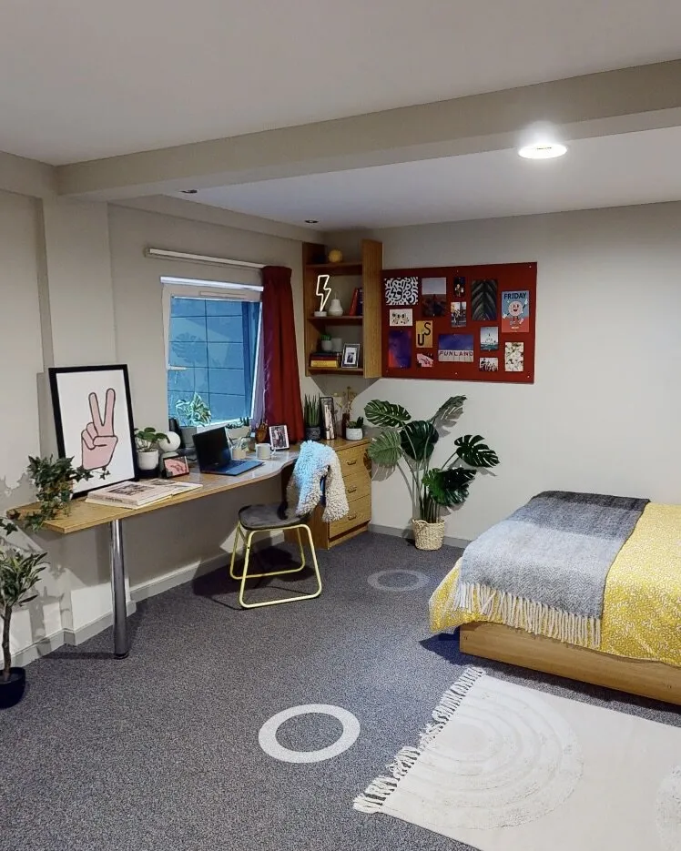 紐卡斯爾100+大面積studio你不住我住😆