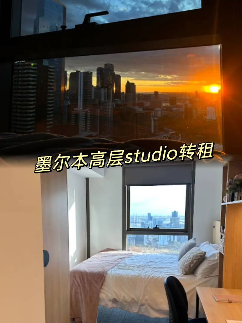 猫本中心，Queen床Studio，夜景美到哭😍