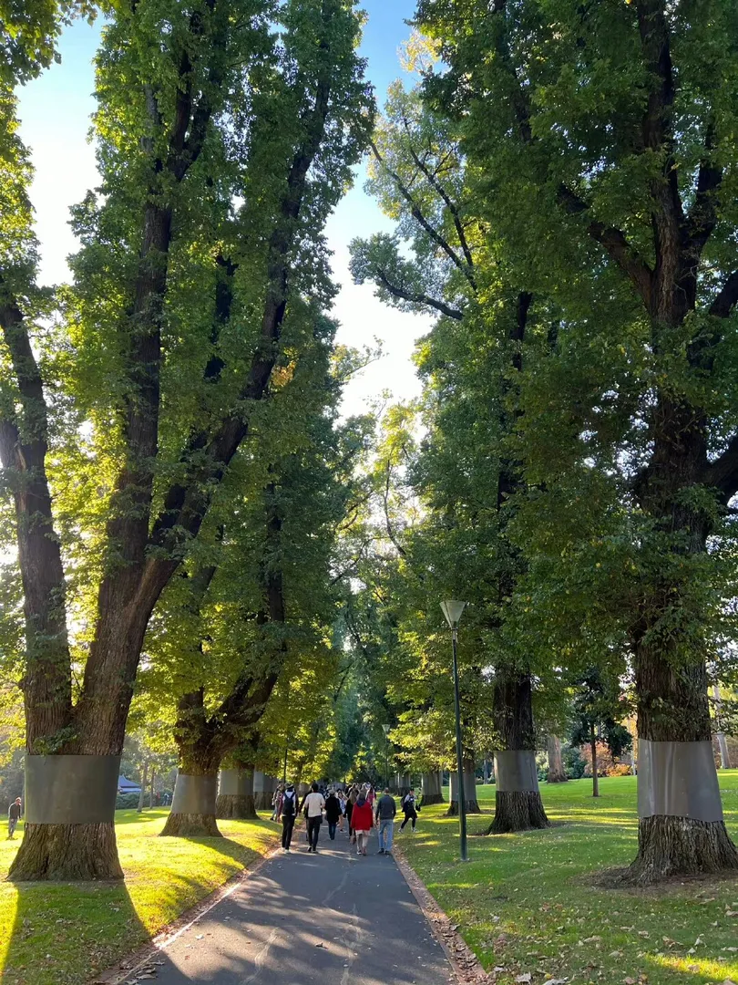 墨尔本生活,墨尔本美食,我的日常,打卡