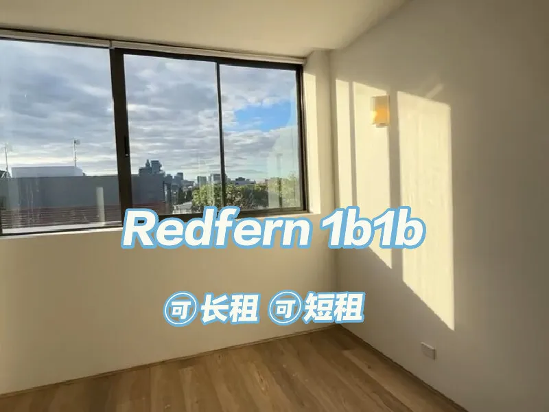 独自在悉尼住一套1b1b 还不错！