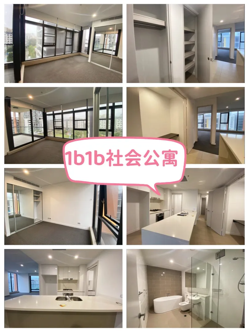雪梨租房、短租長租都有，想找過渡的可來看