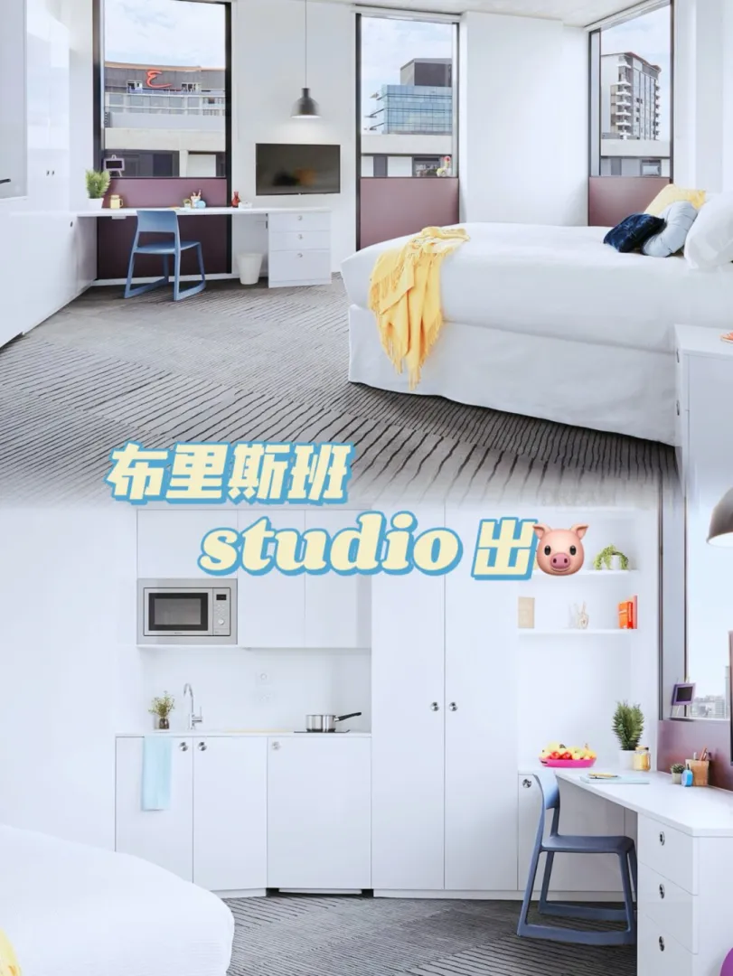 布里斯班这大studio 谁住谁舒坦