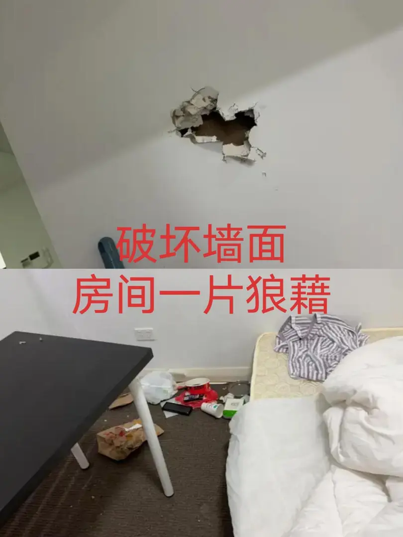 不論雪梨還是國內都會找到你並起su