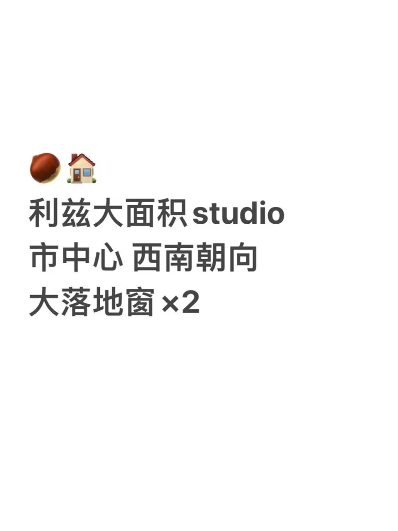 🏠利兹市中心大面积studio 双面落地窗