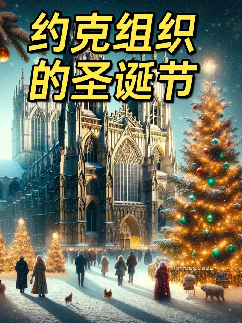 Sure thing! Here's the translation:

"Let's see how the Yorkies celebrate Christmas!"