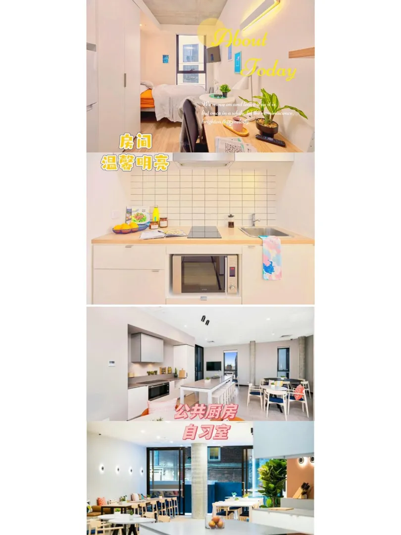 墨爾本精緻studio，黃金位置！