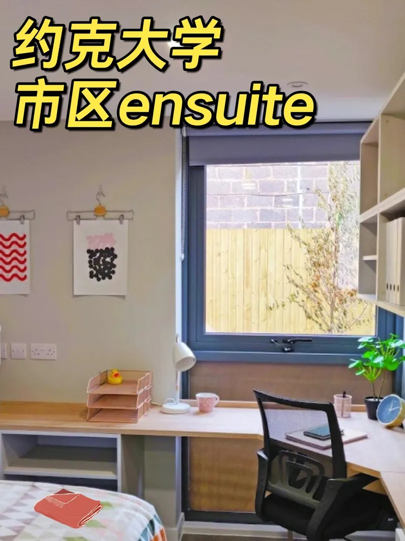 约克市区ensuite，15分去大学！！