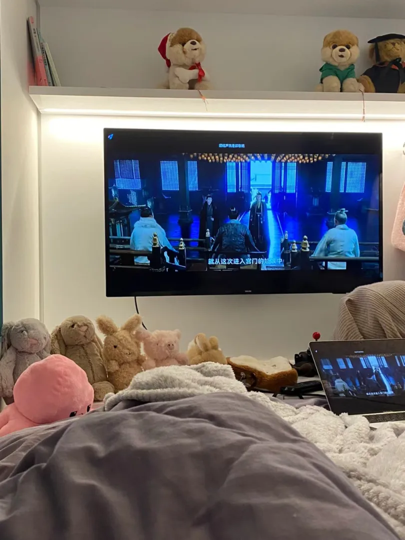 不是1b戶型住不起，只是這個更有性價比！