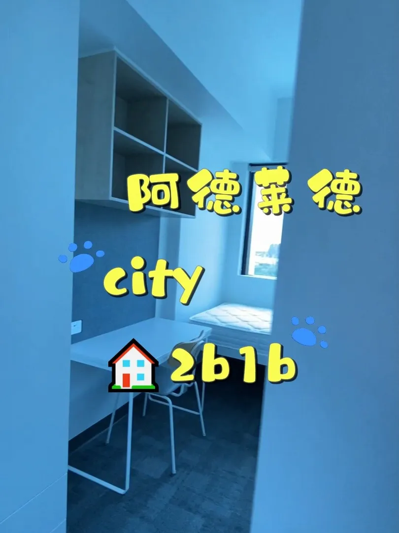 阿德莱德 City｜住在校门口｜2b1b公寓