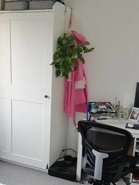 蹲一個慧眼寶兒 幫哥👋了布里斯托大瓶1b