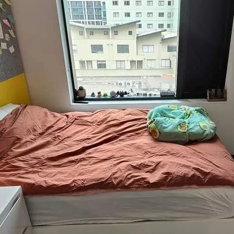 來墨爾本墜不後悔的就是租了墨大門口studio
