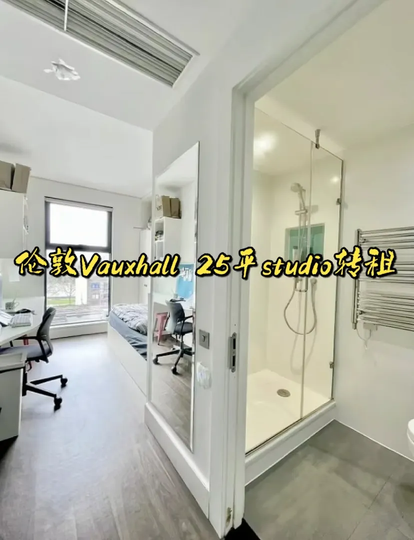 Sure, here's the translation:

"Vauxhall student apartment Spring Mews individual sublet"
