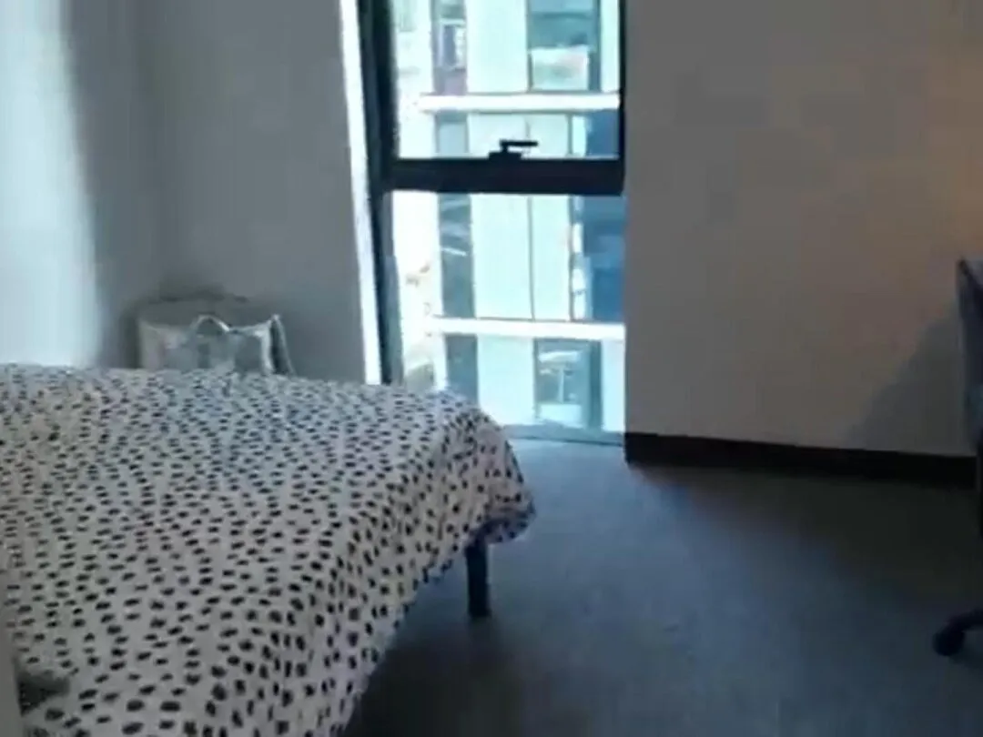 不是，布里斯班2月這麼nice的studio不租嗎