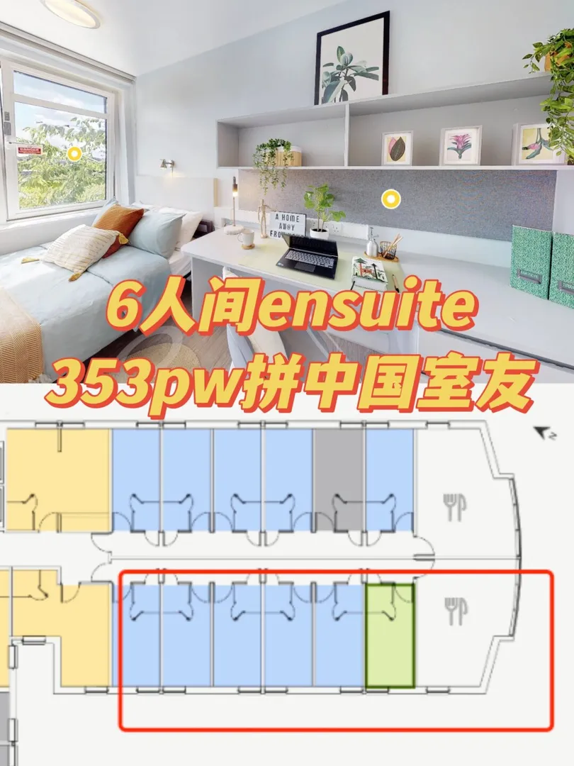 伦敦353💷ensuite，拼中国留学生~