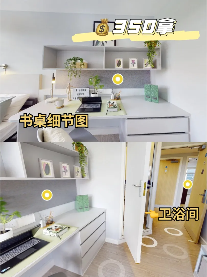 無需禮貌問價｜倫敦UCL學生公寓三四百拿