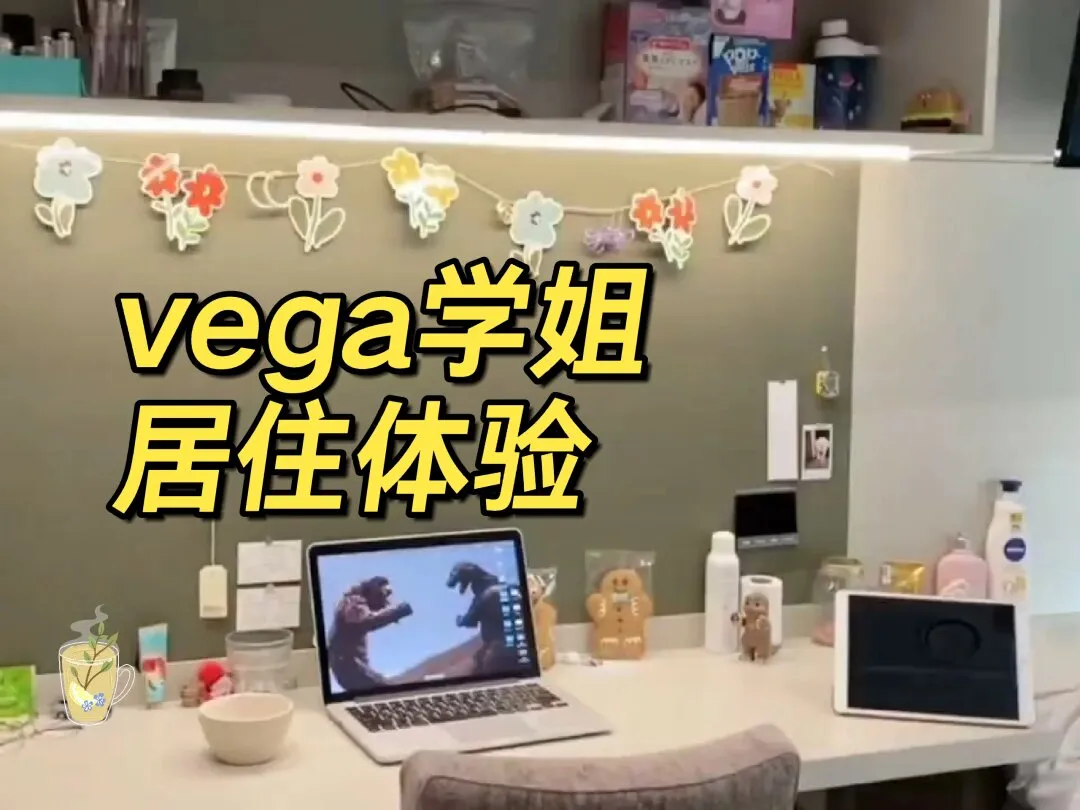 UAL学姐细谈vega，看完都是真爱！！