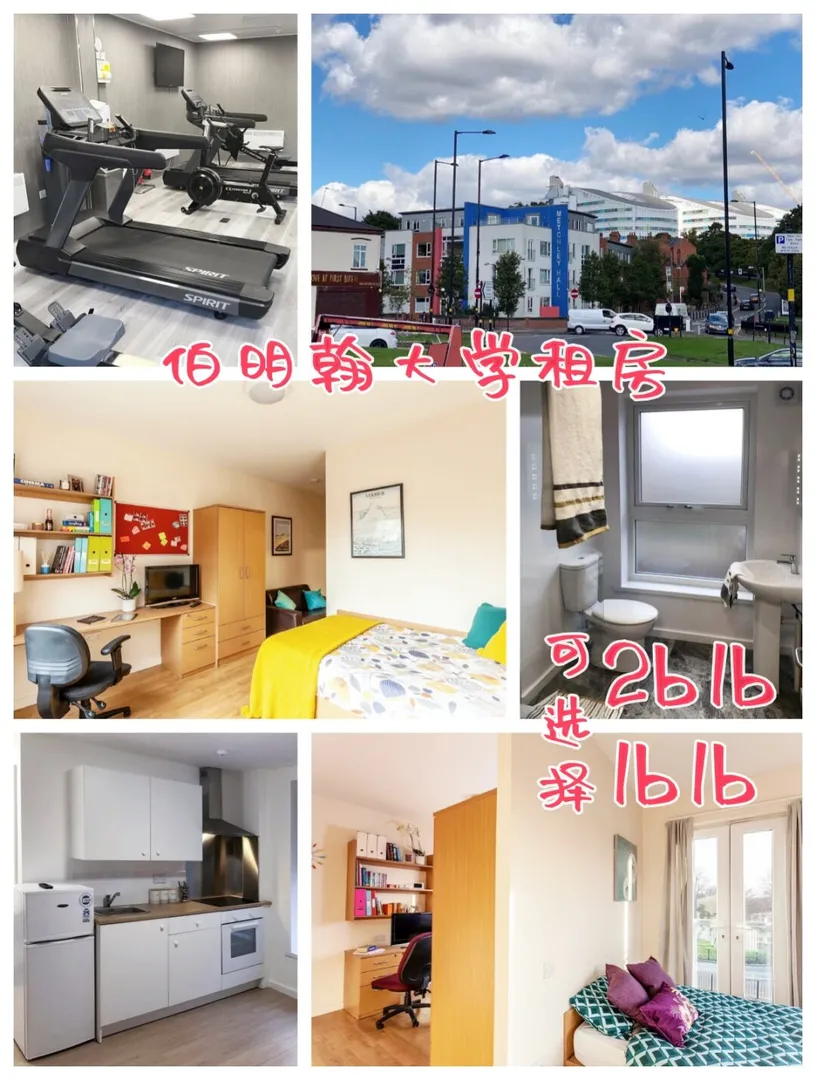 🏠伯明翰1b1b、2b1b🙀整租合租皆可