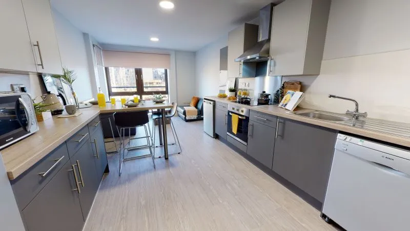 愛丁堡找室友！現在！立刻！馬上！