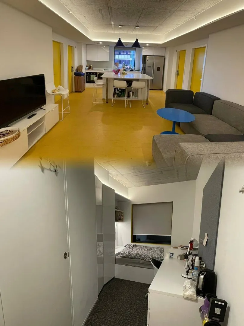 🚶‍♂️步行墨大550米，尋找室友🏠