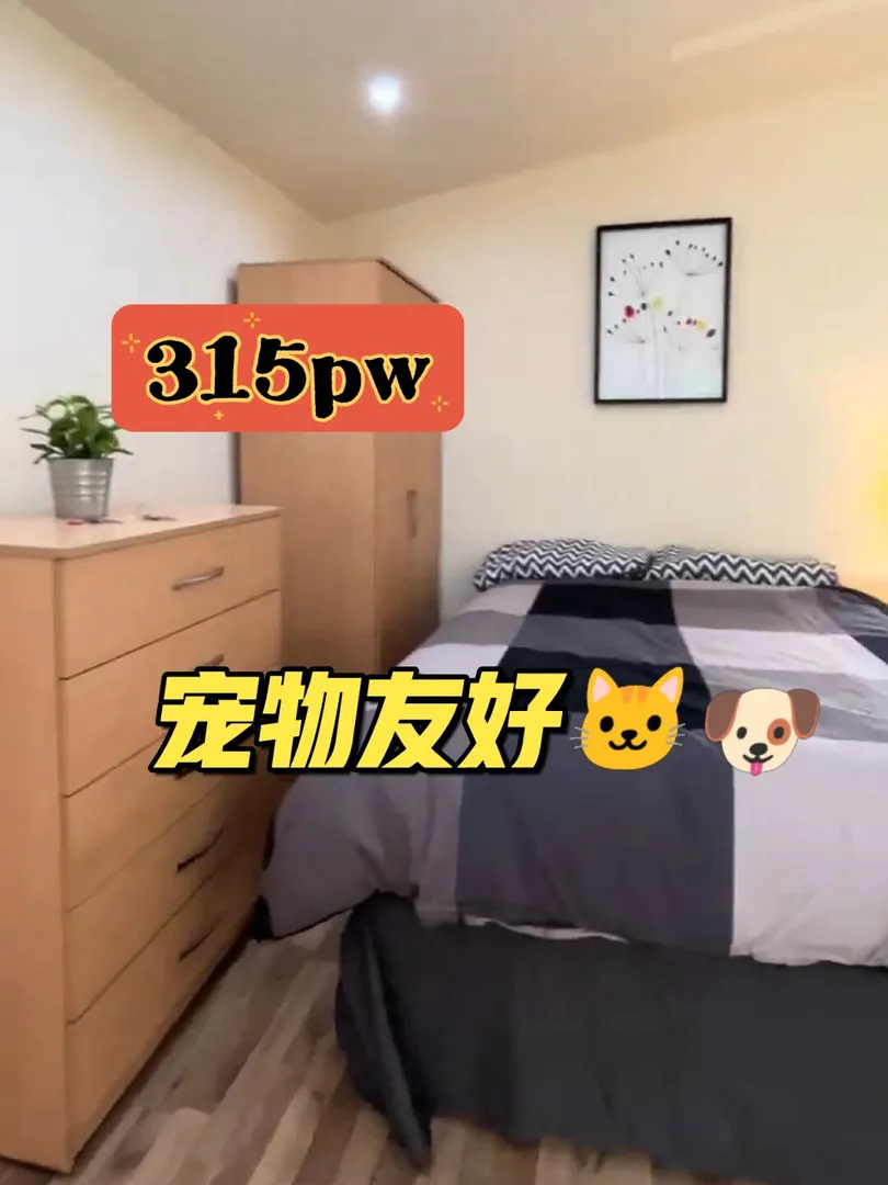 🐱伦敦这个带小院可养宠物的公寓太棒啦