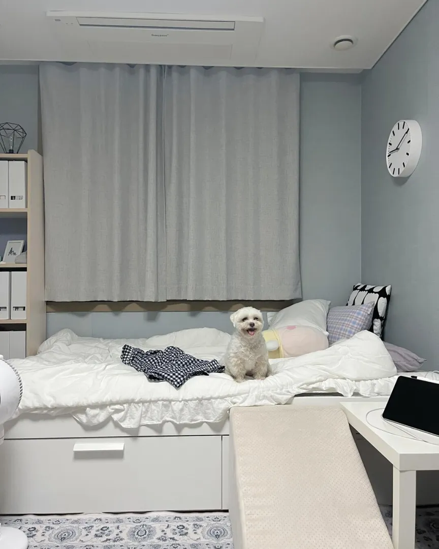 曼城帶🐶🐱的家人們要不要來考慮這個樓