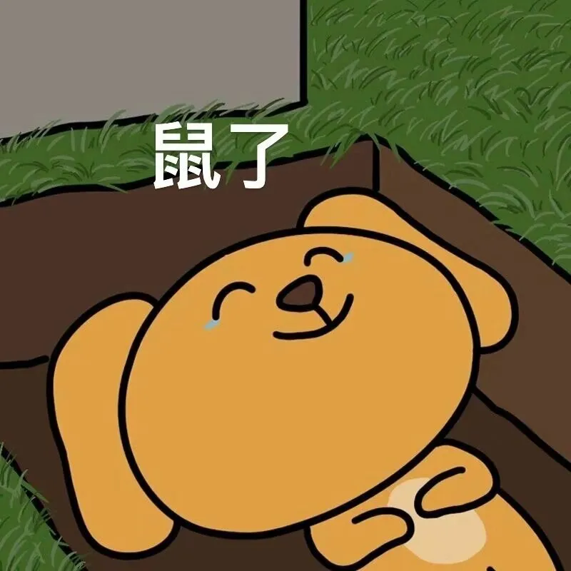 急急急‼️在爱宝你们都😴哪?