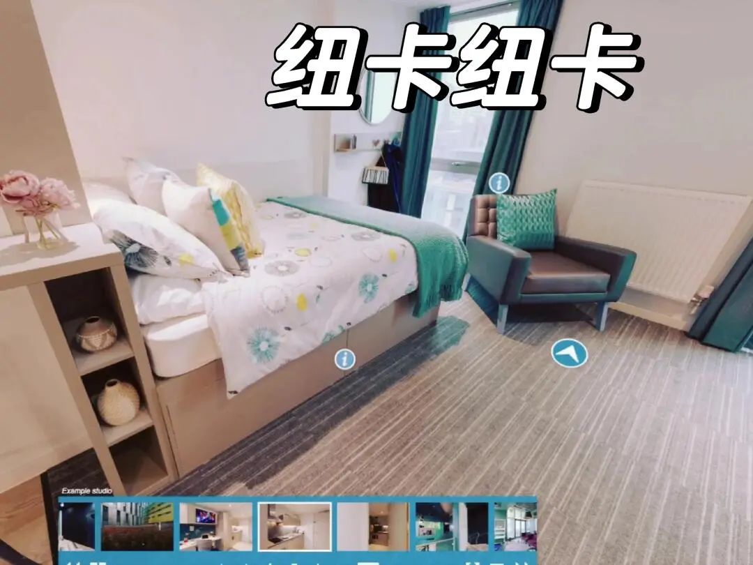 你想與我一起住在紐卡斯爾嗎
