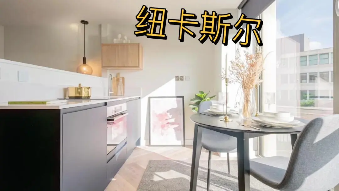 🏡纽卡必须要看采光超绝的公寓