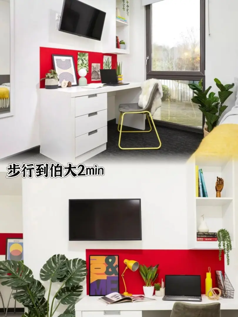 🆘伯明翰studio~转租🏠