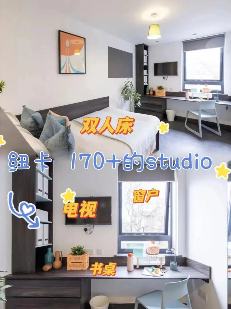 🇬🇧纽卡这间170+的studio 简直撒疯了