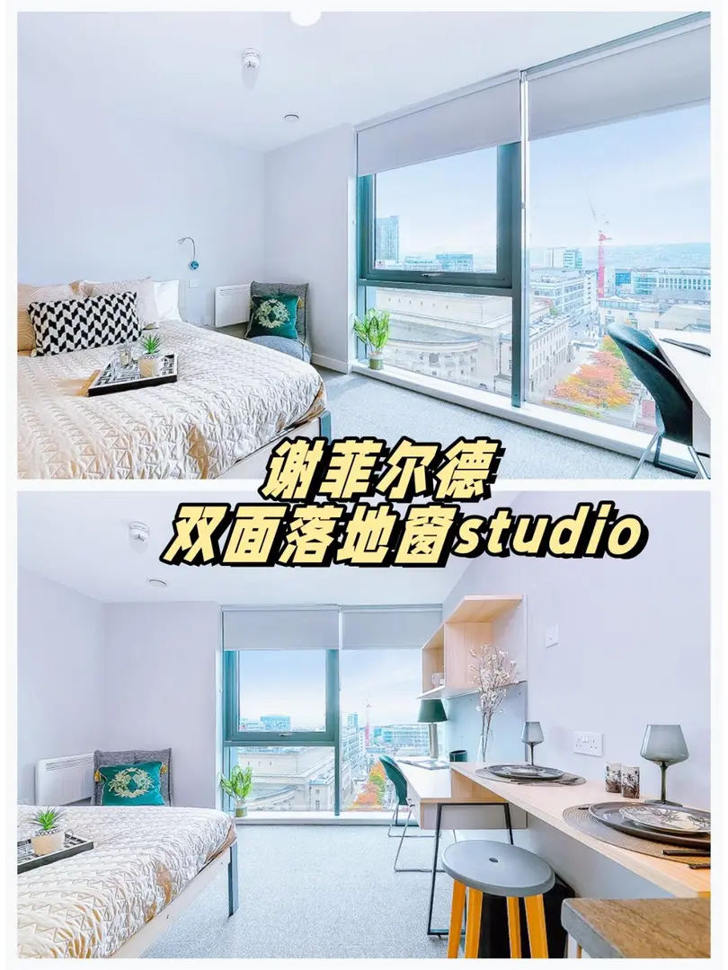 谢菲尔德 129pw起 🈶双面落地窗studio