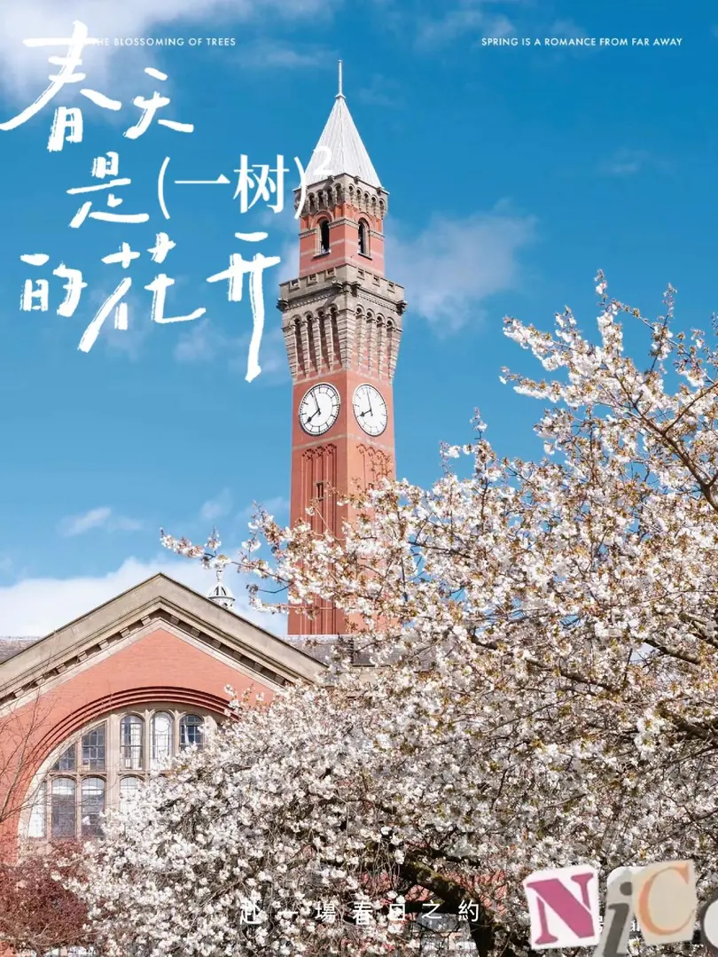 利兹,利兹大学,春天,摄影