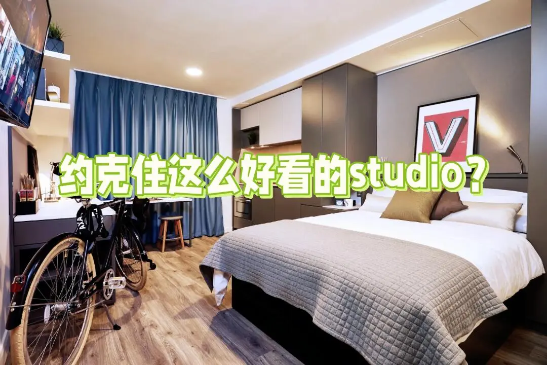 24fall 约克的梦中studio