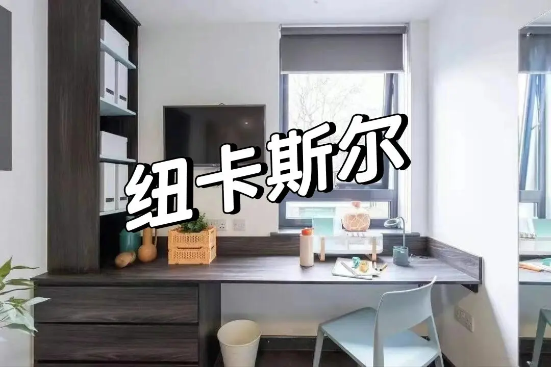 纽卡斯尔！！不到200胖 studio ✨公寓距离纽卡各个学校步行均可到 ✨房间