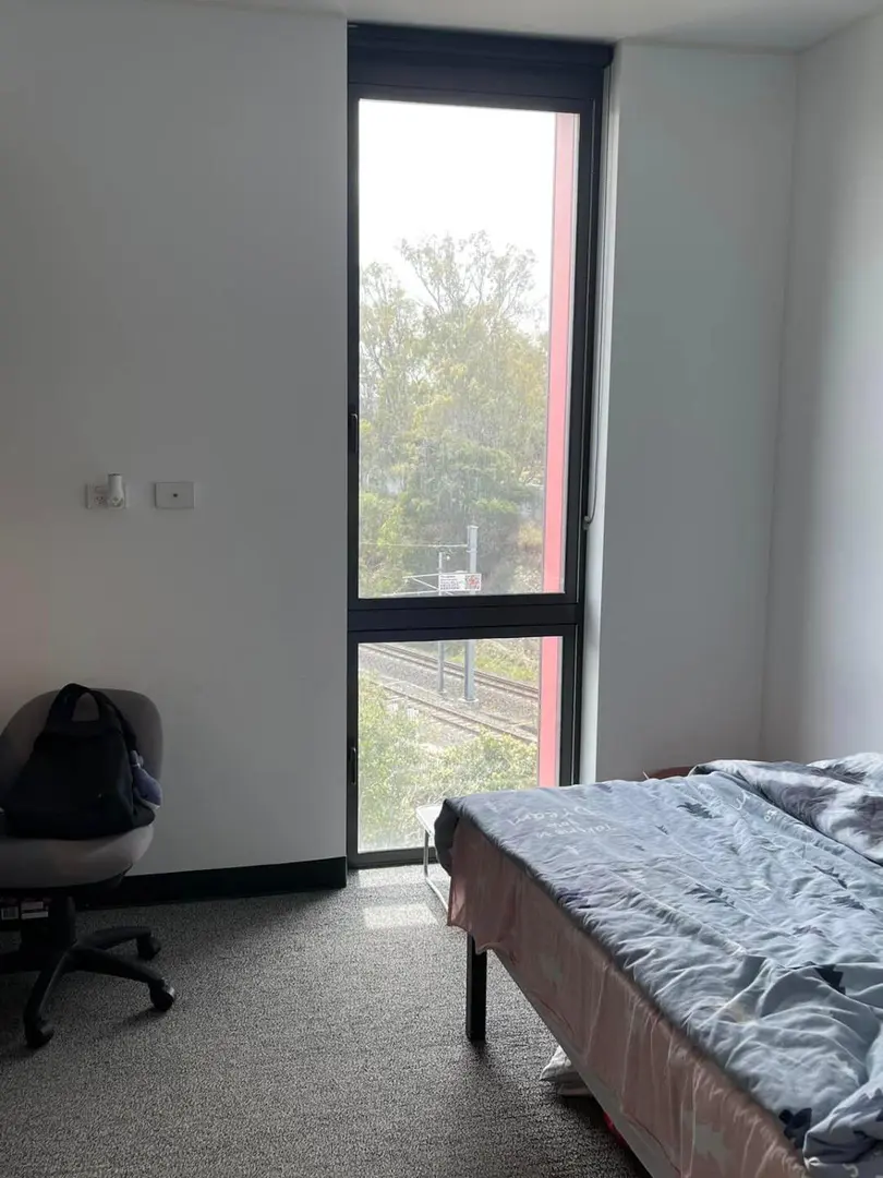 400🔪🐷到了墨大旁邊的studio，包bills