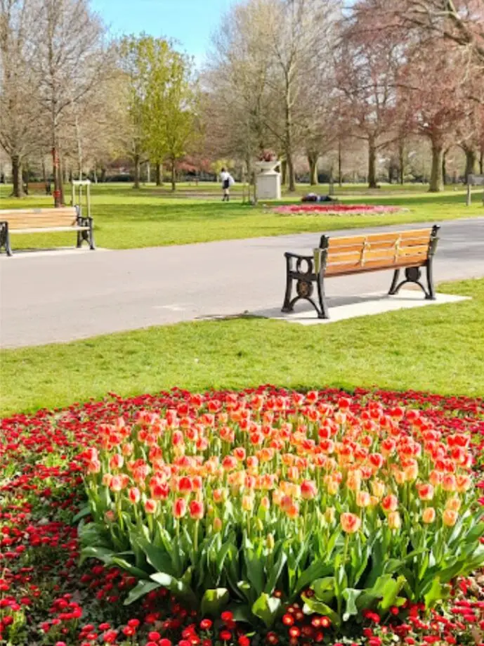 🇬🇧考文垂｜去War Memorial Park赏花