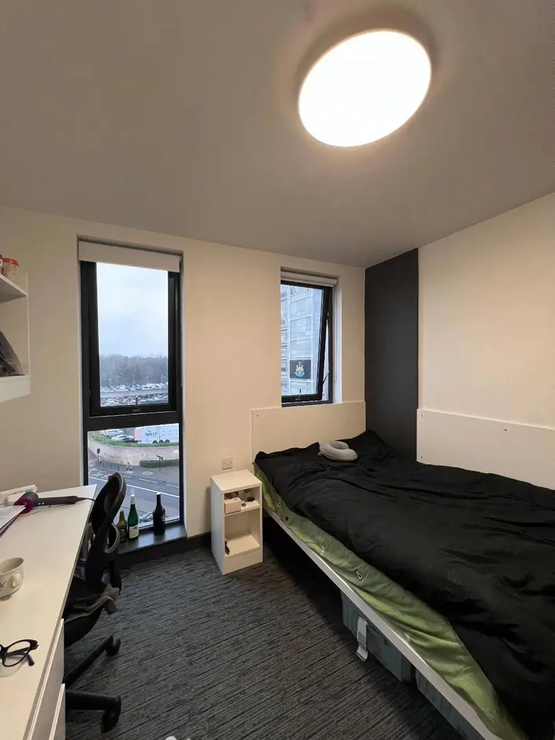 🇬🇧紐卡斯爾這個studio尊嘟愛住啦