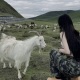 273在愛丁堡住包bills的studio真的太棒啦