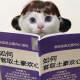 猫本这个社会房源真不打算看看吗