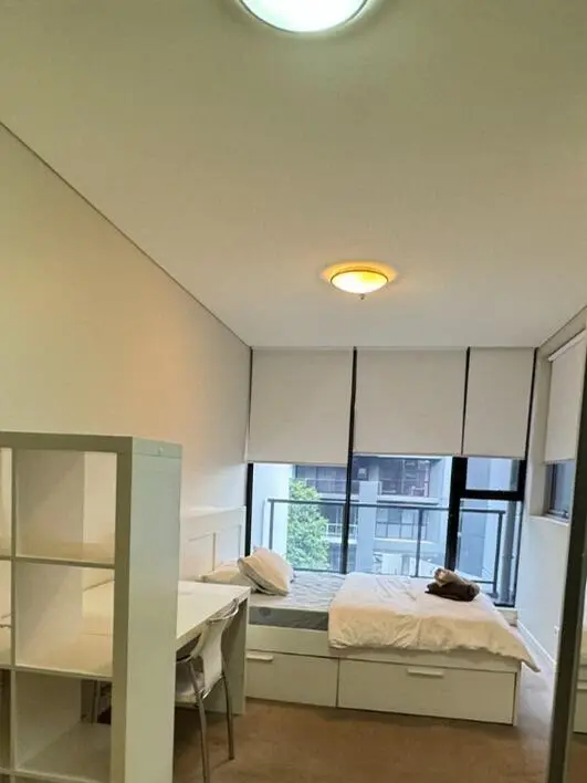 自此愛上Zetland，2b2b再看億眼還是會心動