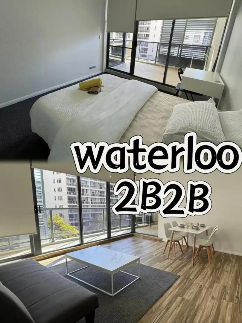 有好兄弟一起入住的吗？waterloo这个超合适