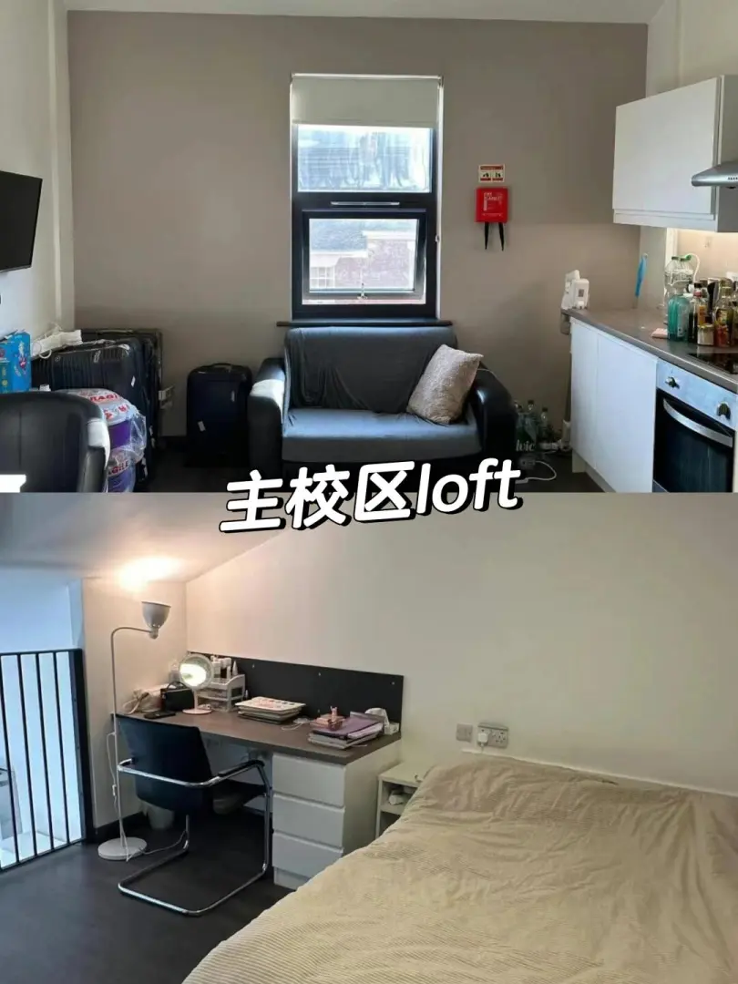 🇬🇧 纽卡捡漏！！！学校门口的loft